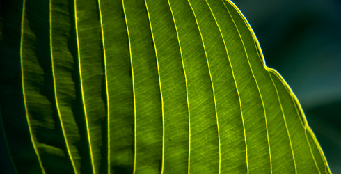 Similar image 21807189