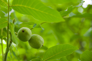 Similar image 21807190