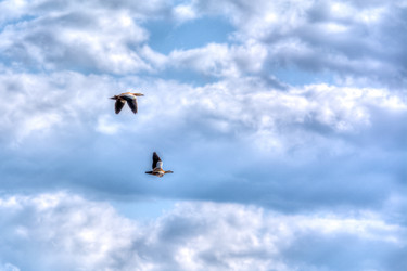 Similar image 21807200