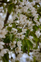 Similar image 21806993