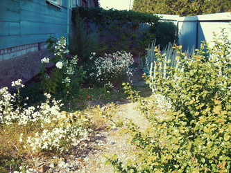 Similar image 21806048