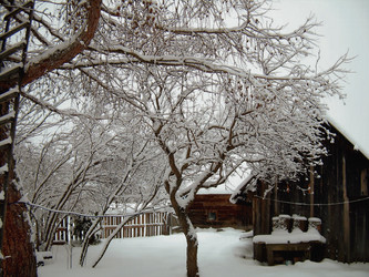 Similar image 21806049