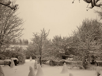 Similar image 21806051