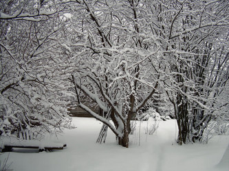 Similar image 21806395