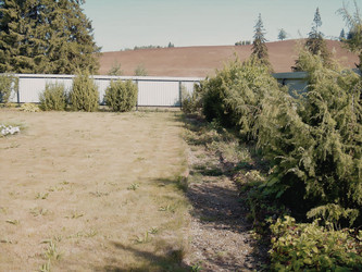 Similar image 21806396