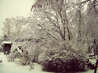 Similar image 21806397