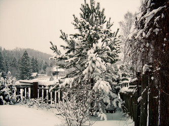 Similar image 21806398