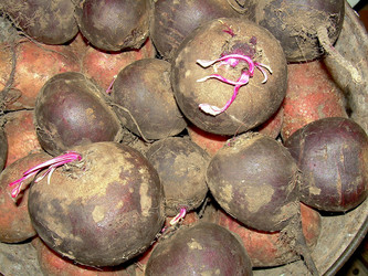 Similar image 21806399