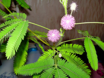 Similar image 21806400