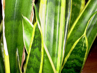 Similar image 21806402