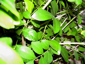 Similar image 21806403