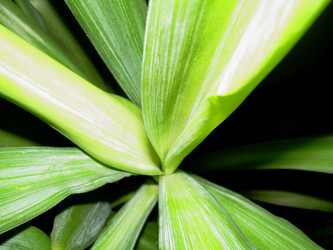 Similar image 21806404