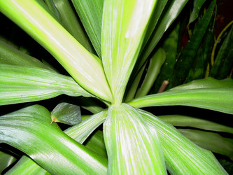 Similar image 21806405