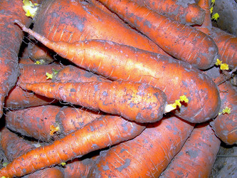 Similar image 21806407