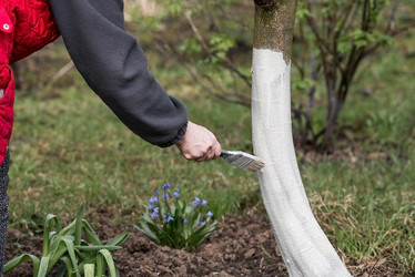 Similar image 21806409