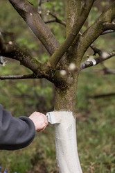 Similar image 21806411