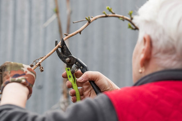 Similar image 21806428