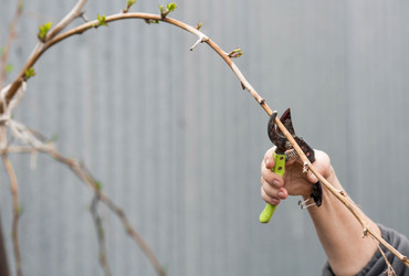 Similar image 21806429