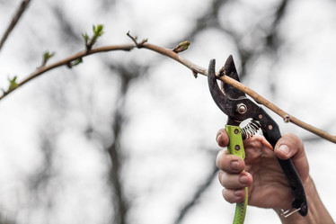 Similar image 21806430