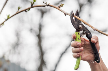 Similar image 21806431