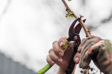 Similar image 21806432