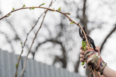 Similar image 21806433