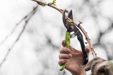 Similar image 21806434