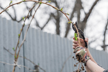 Similar image 21806435