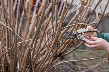 Similar image 21806437