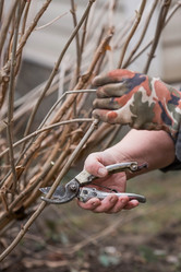 Similar image 21806438