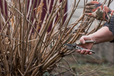 Similar image 21806440