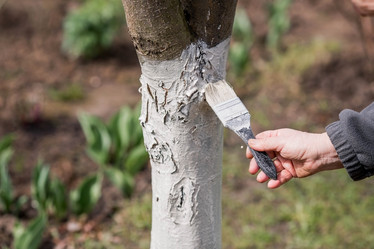 Similar image 21806443