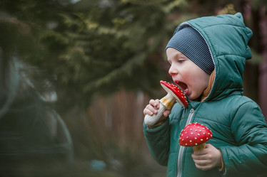 Similar image 21806446