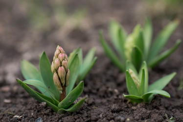 Similar image 21806448