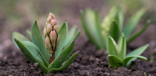 Similar image 21806449