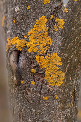 Similar image 21806450