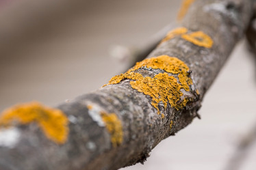 Similar image 21806451