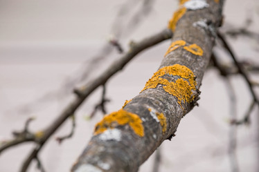 Similar image 21806452