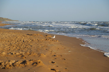 Similar image 21805702