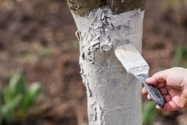 Similar image 21806510