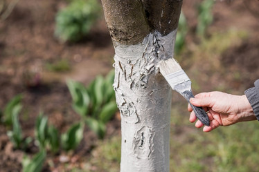 Similar image 21806632