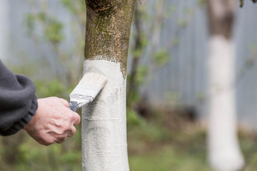 Similar image 21806633