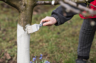 Similar image 21806634