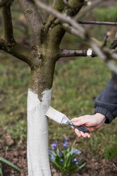 Similar image 21806635