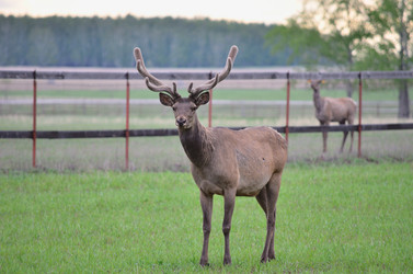 Similar image 21806052