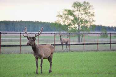 Similar image 21806053