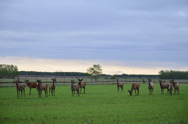 Similar image 21806054