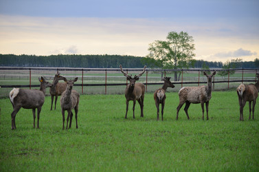 Similar image 21806055