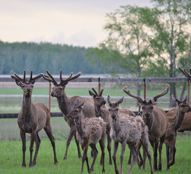 Similar image 21806059