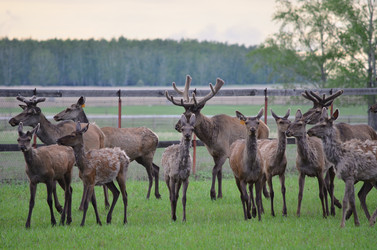 Similar image 21806061